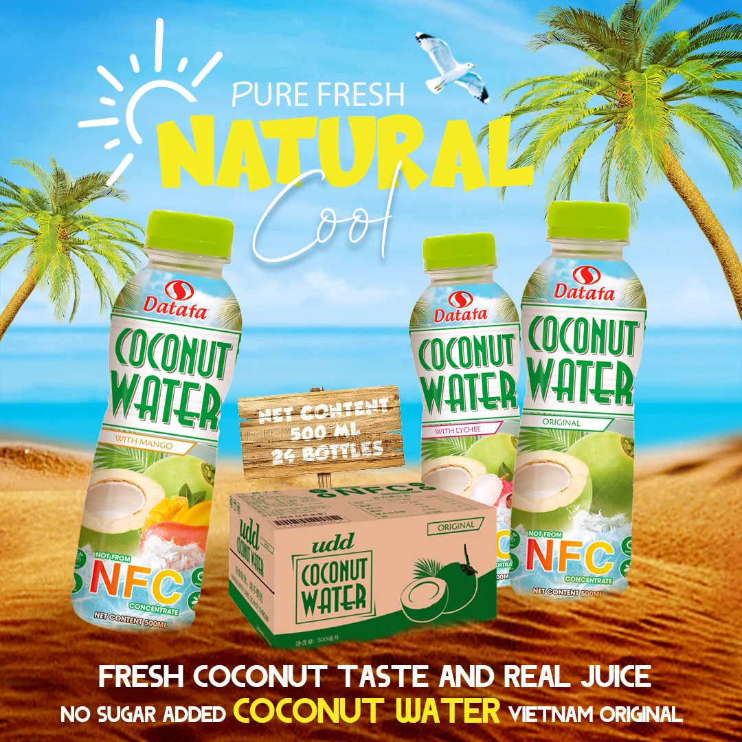Coconut Drink Nfc Health Supplement Fruit Vegetable Juice Haccp Certification Customized Packaging No Sugar Vietnam