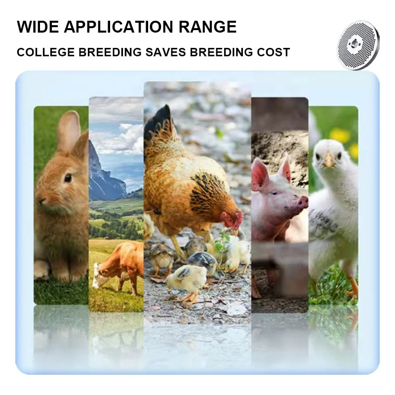 Popular bulk 210 filter feed pellet machine 2.5mm grinding disc pelletizer machine for animal feeds at good price