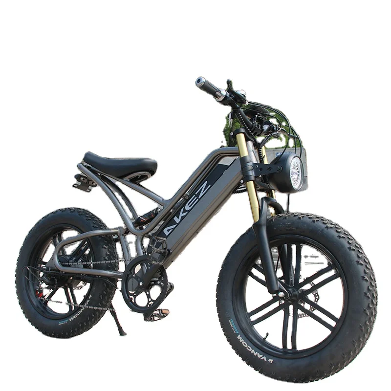20 Inch Snow off-road fat tire ebike Electric Bike 48V17.5AH aluminum alloy enduro ebike frame e bike