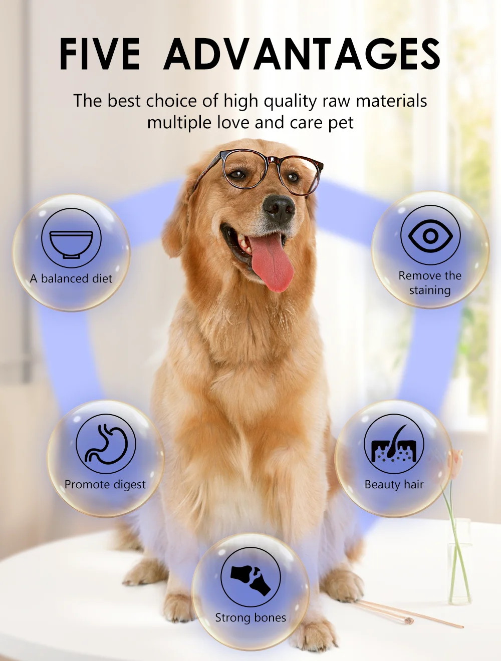 Корм для собак