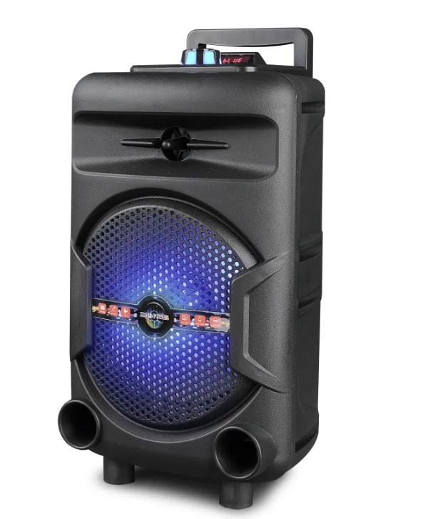 2021 8-inch party trolley speaker karaoke home theater system speaker with USB/TF/BT and other functions