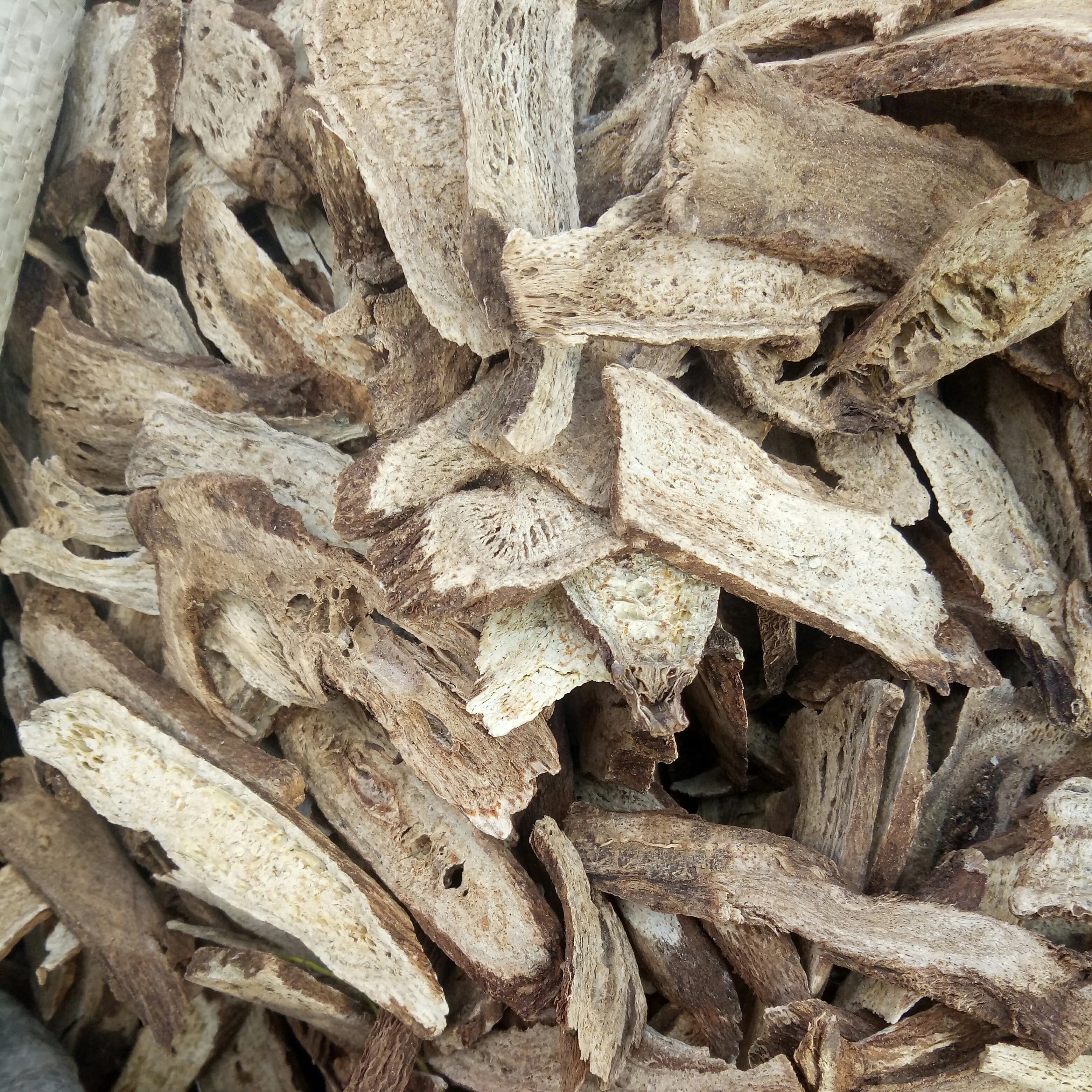 Muxiang Buy natural new crops saussurea costus root