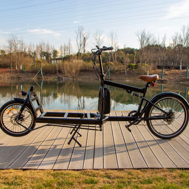  750W грузовой велосипед семейный электровелосипед Otkargo ebike для
