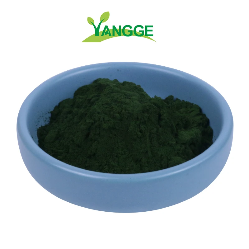 
Pure organic Maltodextrin Spirulina algae Extract Spirolina Spirulina powder for sale 100 pure  (1600189386457)