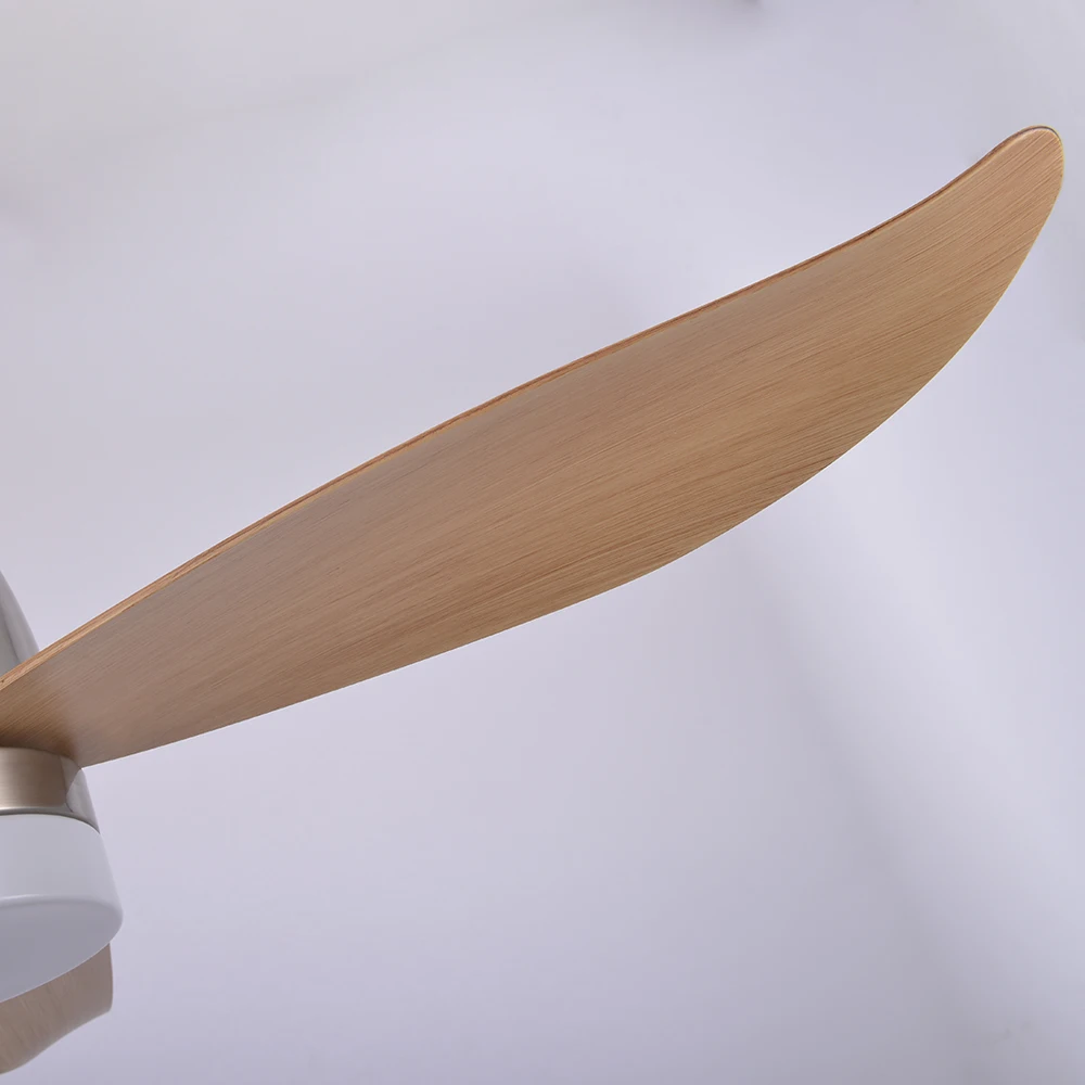 Modern 44Inch Living Room Ceiling Fan With Light Home Remote Control USA Electric 220 Volt Ceiling Fan With Lights