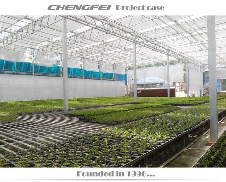 8m/9.6m/10.8m/12m/16m Span Glass Green Houses Agriculture Commercial Spain Large Green House