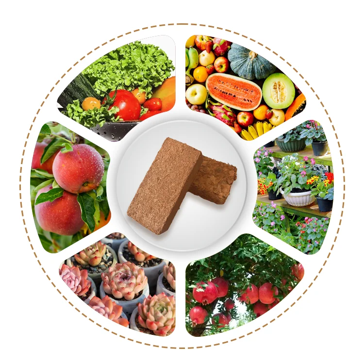 Coconut bricks nutritious soil organic flowering vegetables succulent plants compressed coconut powder bricks