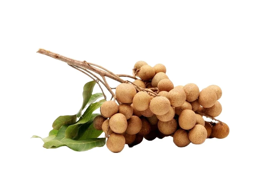 Fresh Longan Premium Grade Best Seller From Thailand By SP Organic International Thai Fruits Export