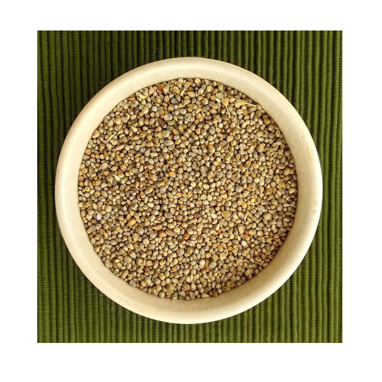 Good Quality Wholesale Price Pearl Millet Organic for Cooking Available at Wholesale Price from Indian Exporter