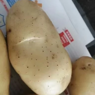 Comprehensive Nutrition french fries make machines chips potato fresh potatoes for sale