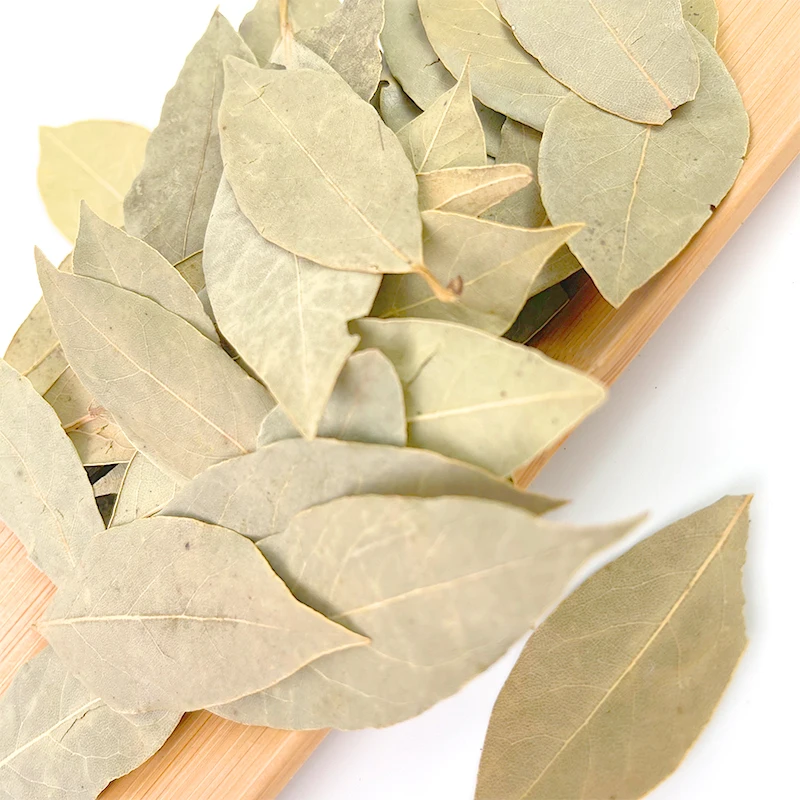 New Crop Fd Spices Business Bay Leaf Export Ad Herb Bay Leaf Extract  Curry Powder Premium Dry Bay Leaves