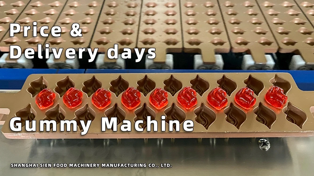 Shanghai SIEN multifunction Jelly gummy candy mold lollipop hard candy mould