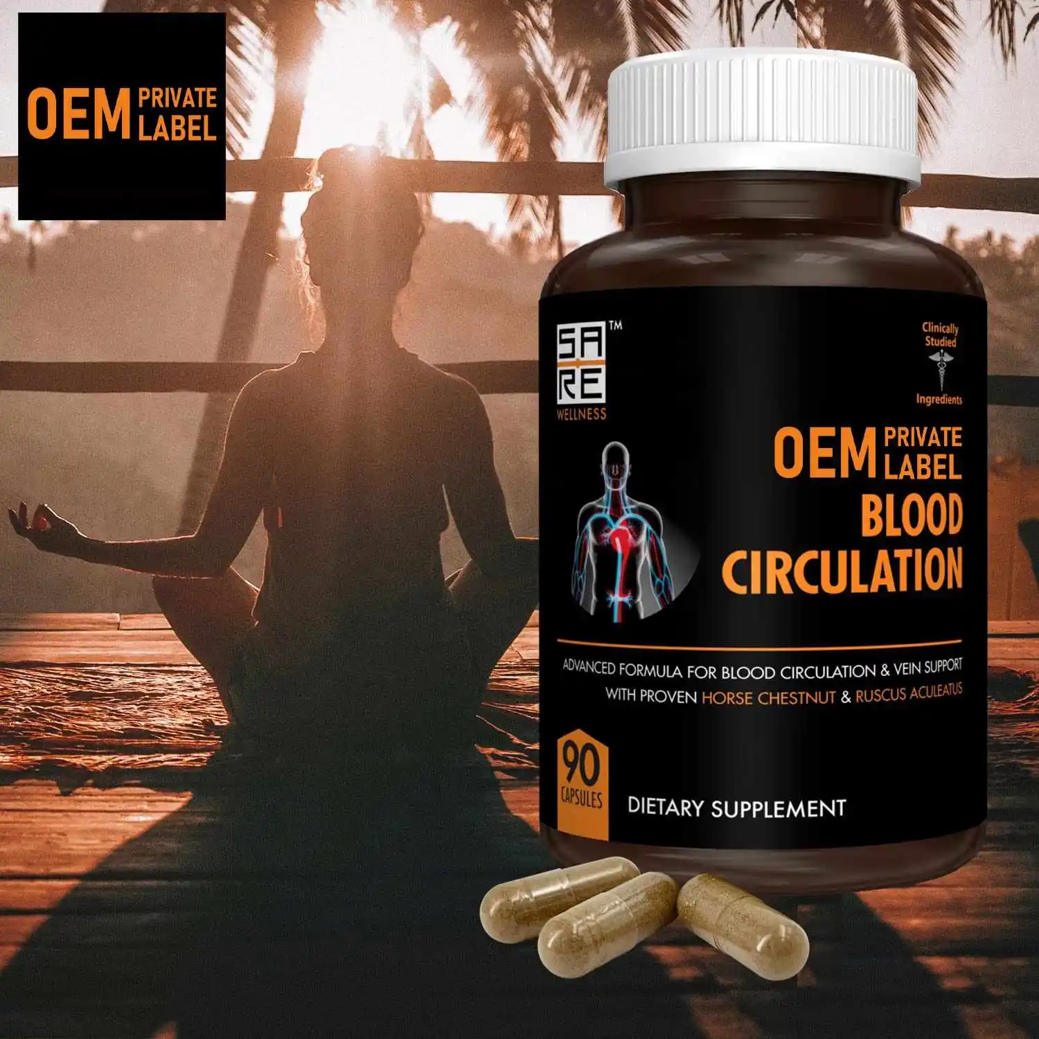 OEM Nitric Oxide Supplement With L Arginine Blood Circulation Supplements Poor Circulation and Vein Support Nitric Oxide Booster