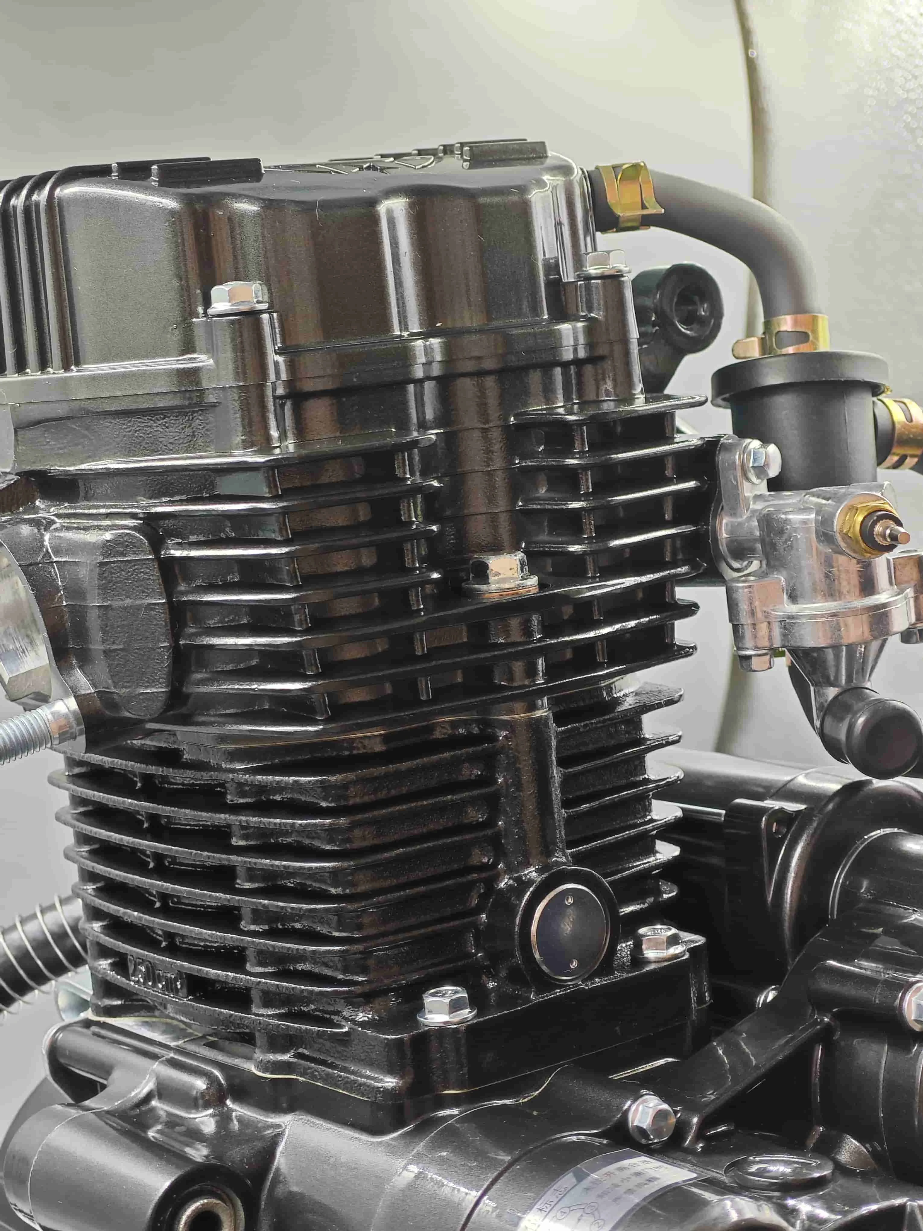 250 Water Cooling Liquid-Cooled Automatic Clutch Motorcycle Engine Tricycle Engine Brand New Motorcycle Engine