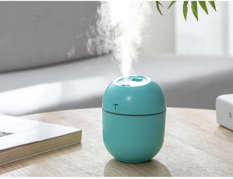 Mini Egg Portable H2O Spray Mist Air Purifier Home Office Usb Humidificador Diffuser Oil Air Humidifier for Home Car