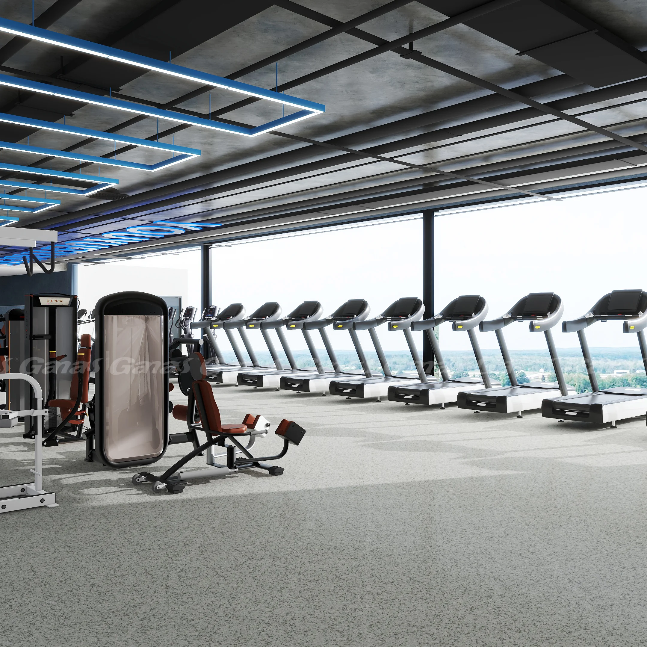 Ganas Guangzhou Professional Complete Indoor Gym Club Hotel Fitness Commercial Gym Equipment With 3d Free Design