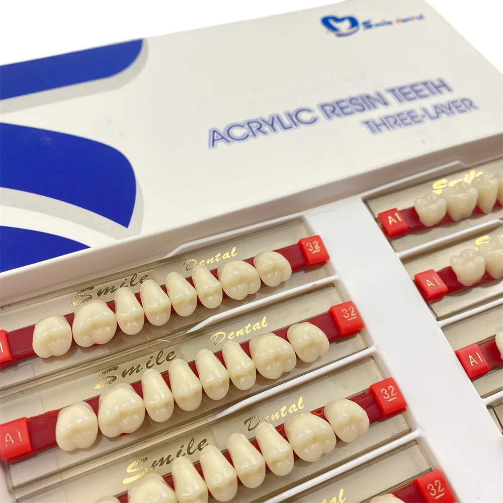 3-Layer Dentures Dental Posteriors Acrylic Resin Teeth Synthetic Teeth