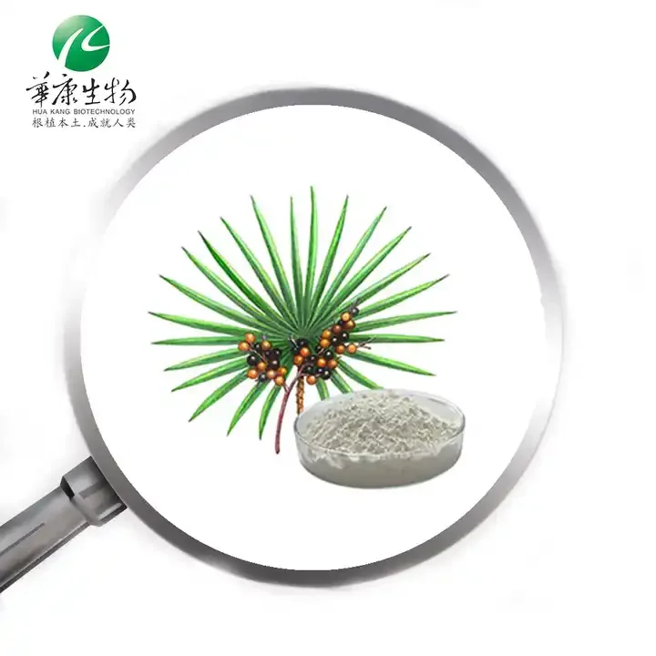 Top Quality Saw Palmetto Extract 25% 45% Fatty Acid Saw Palmetto Extract Powder