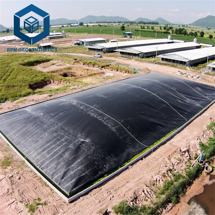 Геомембрана Гибкая портативная мини-биогаз для проекта биогаза в Мьянме
