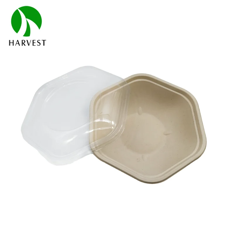 Disposable Bagasse Zero Waste Takeaway Salad Sugarcane Hexagon Bowl  Plant-Based Gluten Free Food Containers