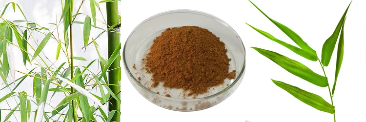China Manufacturer High Quality Bamboo Leaf Extract.jpg