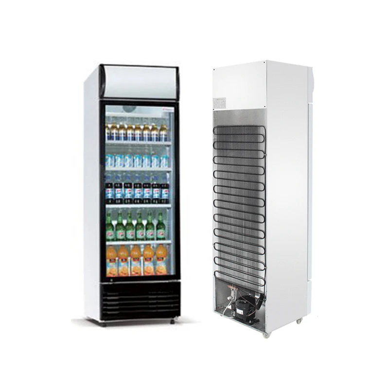 Single Glass Door Pepsi Freezer Beverage Cooler 220V Air Cooling LED Light Double Door Compressor for Restaurant Use