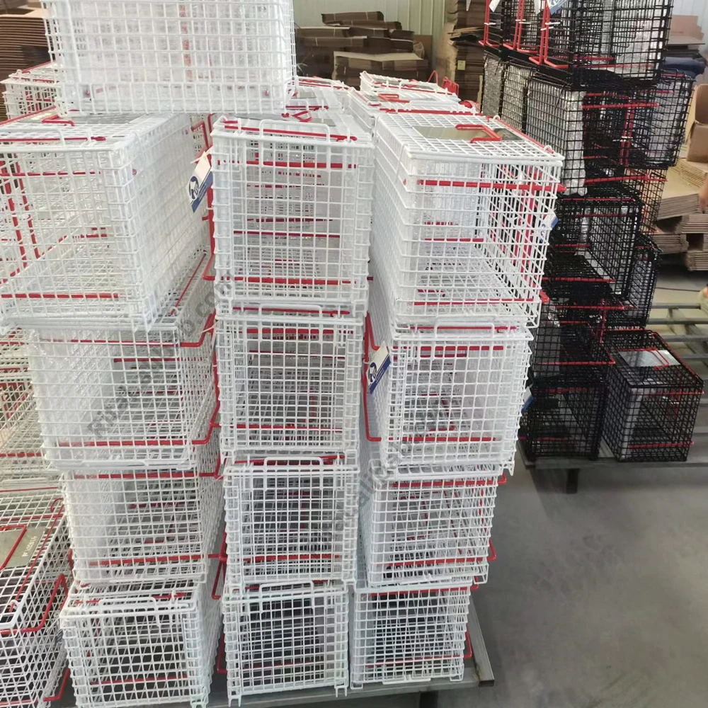 Veterinary Equipment anti-scratch bite restriction cage Pet Clinic dog cat restriction injection cage