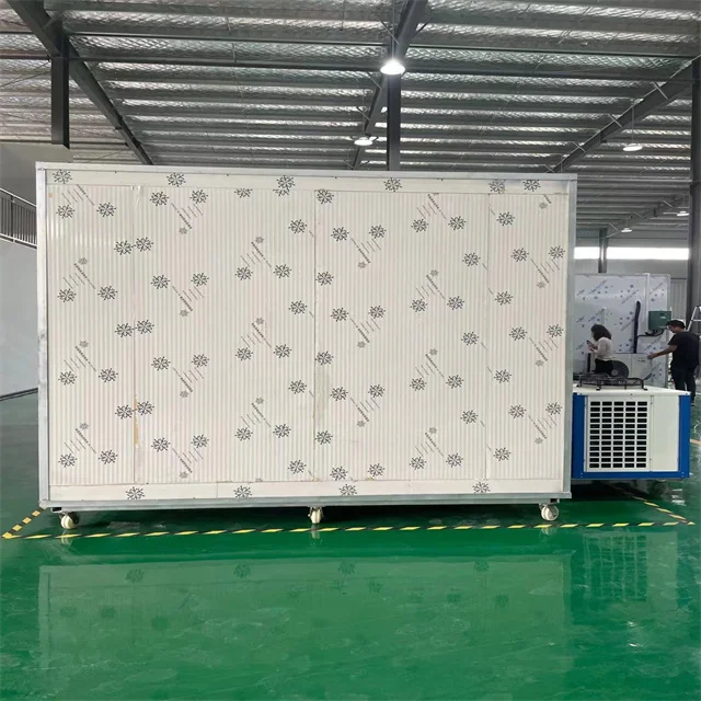 Walk in Freezers for Poultry, Chicken & Meat Cold Storage for Argentina Market