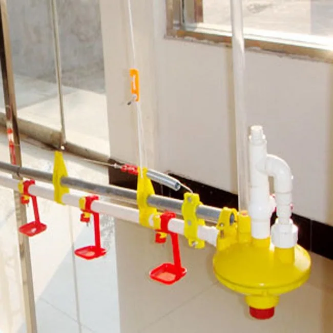  Maymouna Фирменная капельная чаша для скотоводческой фермы поилка курицы