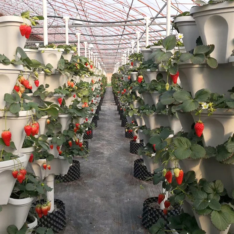 OXGIFT Wholesale move three-dimensional strawberry plant growing plastic flower pots & planters