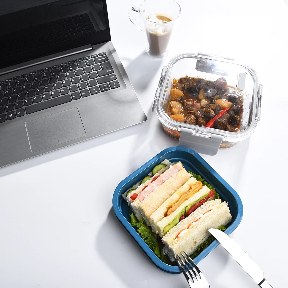 Double Layer Glass Lunch Box with  MS Material Lid lunch box