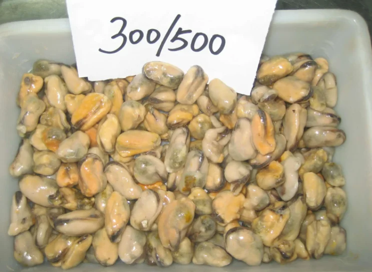 Wholesale Seafood Frozen boiled mussel meat IQF