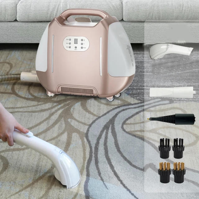 Home use car detailing carpet sofa cleaner 6 gears dry and wet  steam vapor cleaner mini vacuum steam cleaner portable