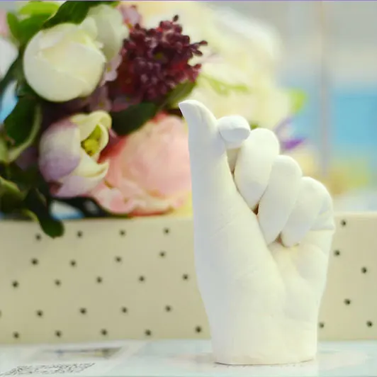 Diy 3d hand casting kit family alginate molding powder Alginate Molding Powder 3d Casting Kit