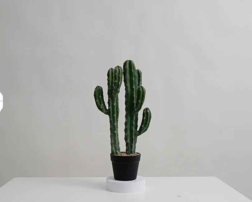 Hourpark Indoor Decoration Artificial Plastic Bonsai Cactus With Pot Faux Simulation Artificial Plants