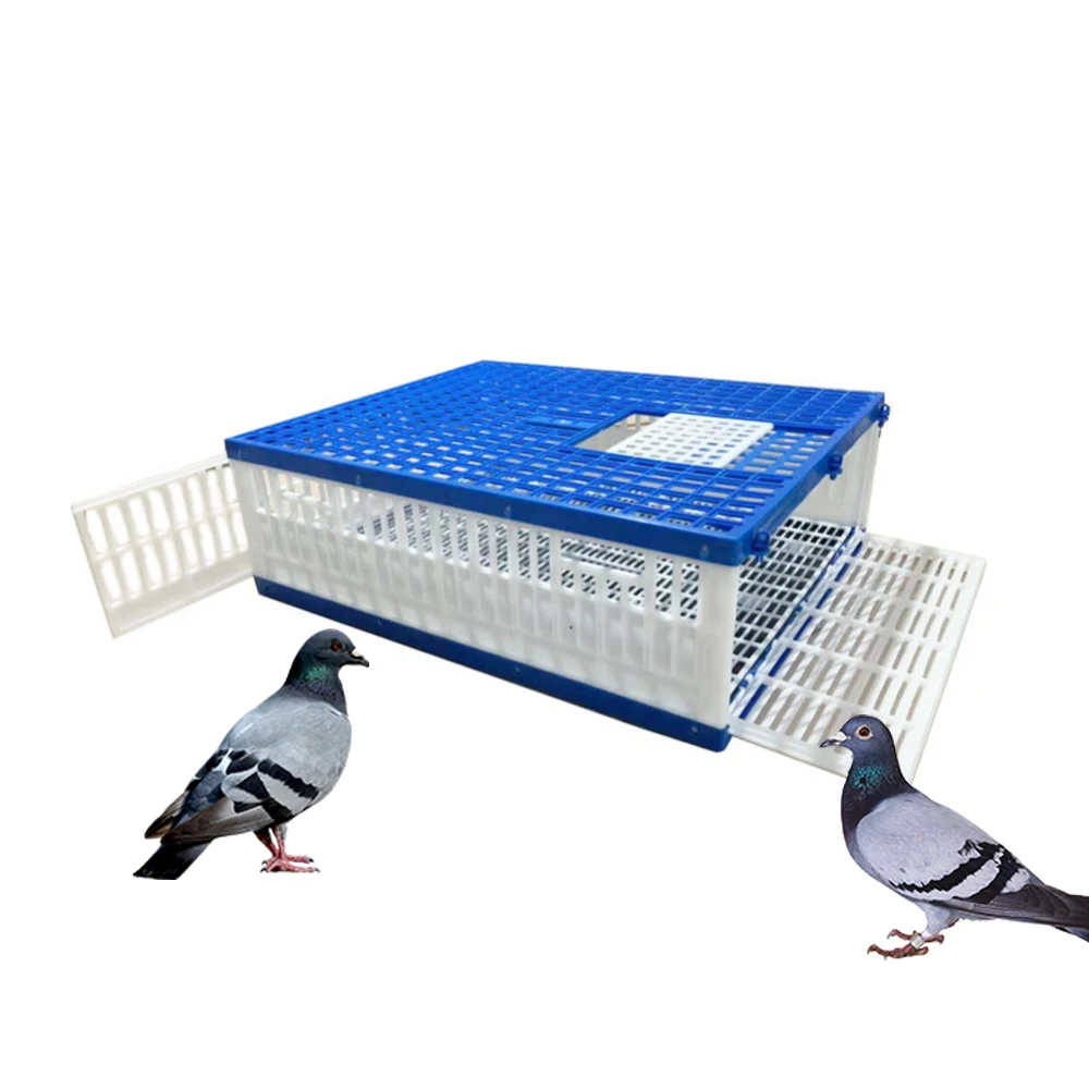 High Quality 80Cm Size Blue White Foldable Pigeon Plastic Flying Cage Transport Cage Pigeon Accessories