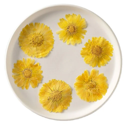 Marigold Cosmos Card Making Supplies Resin Jewelry Natural Plant Eco-friendly Real Pressed Dried Flower