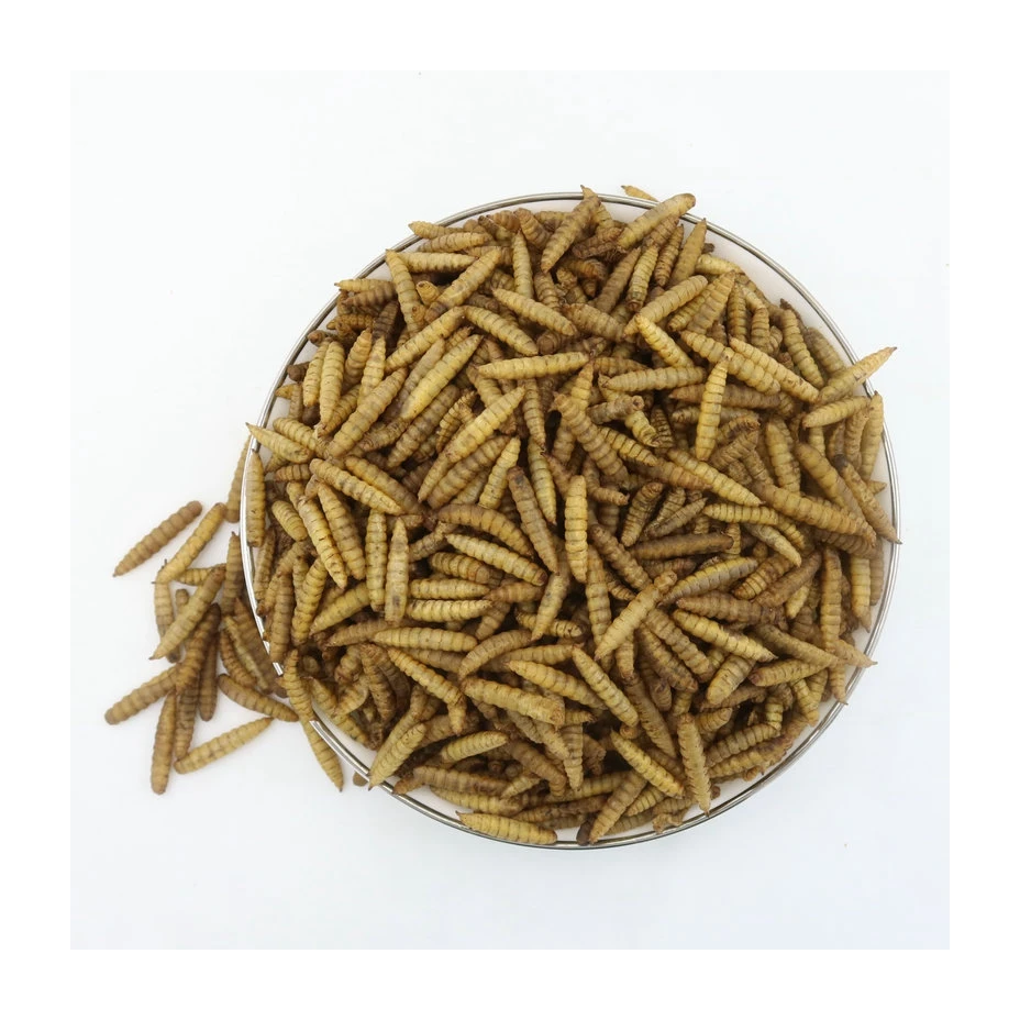 Protein Pet Food Larva Soft Lures Fishing Worm Dried Black Soldier Fly Larvae