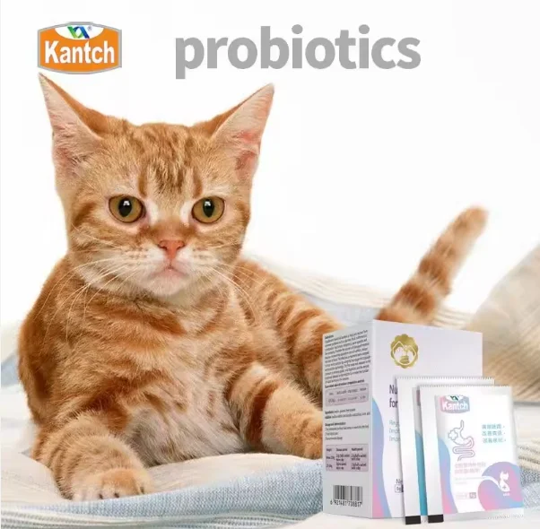 manufactural odm pet nutrition supplements for dogs diarrhea or constipation treatment regulate the stomach