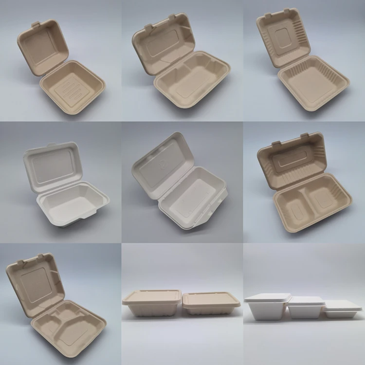 100% Compostable Biodegradable Sugarcane Bagasse Bento Box Bamboo Pulp Food Container