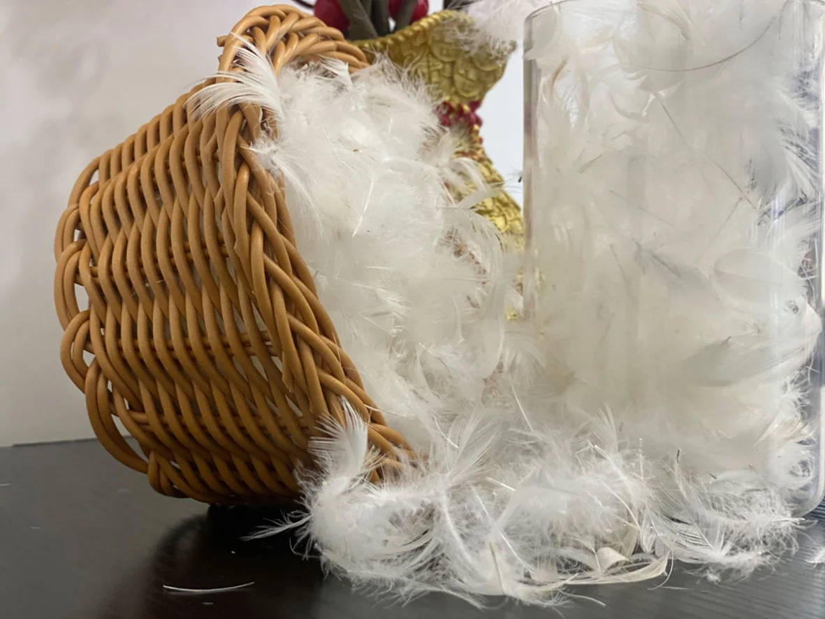 Factory direct sales 2-4cm90% white duck feather