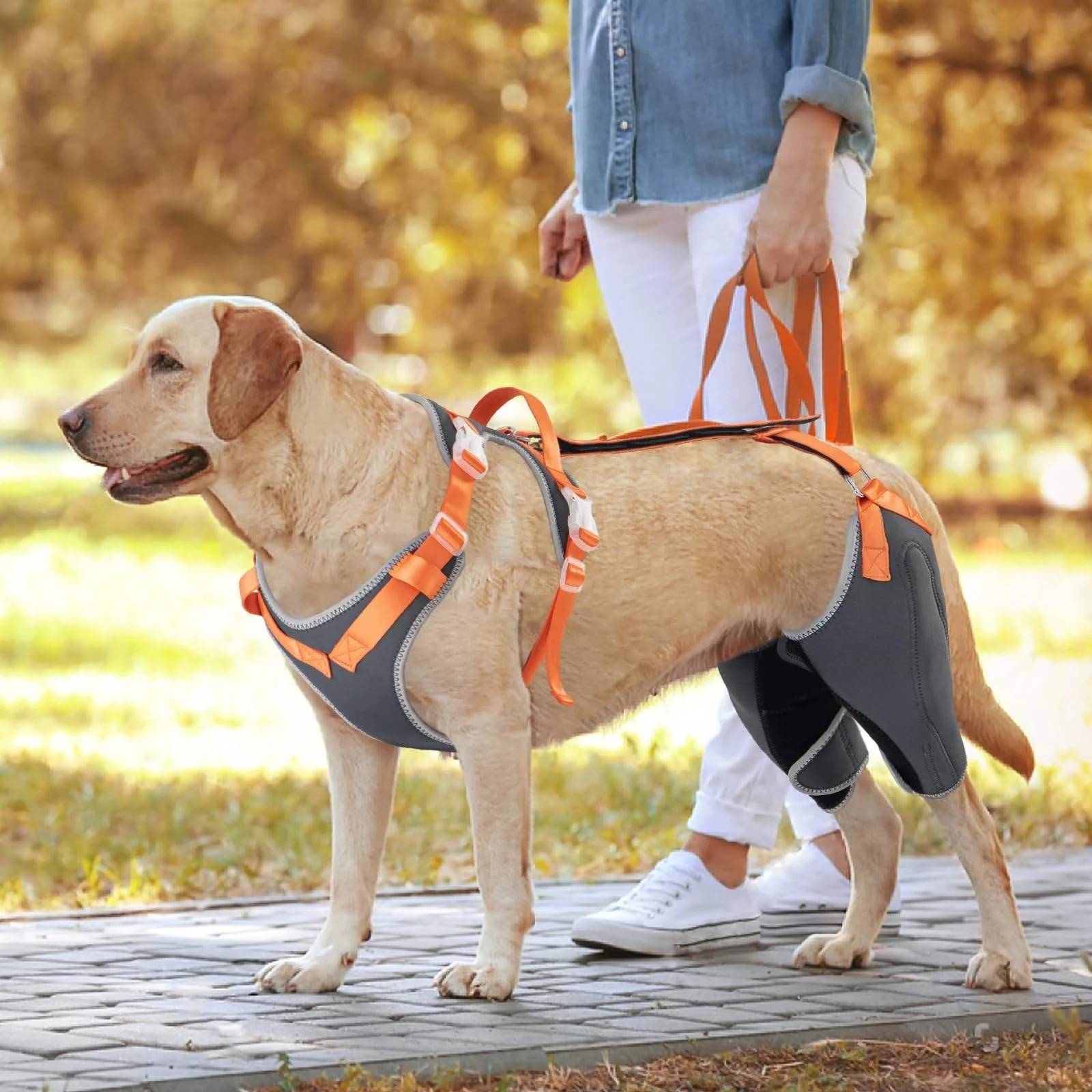 Custom Dog Knee Brace Support for Back Legs with Metal Splint Hinge,ACL/CCL Dog Brace Support