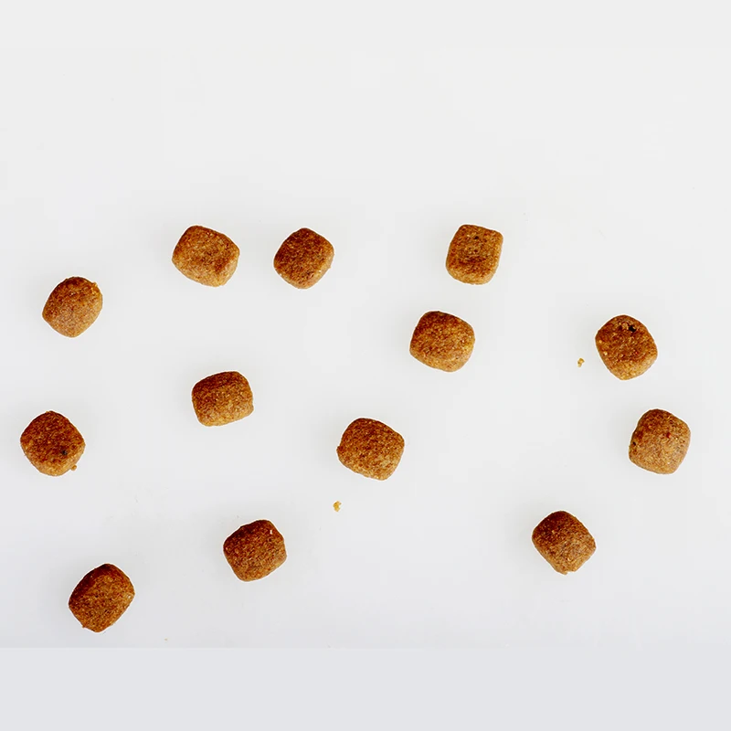 OEM ODM Factory direct sale vegetable and fruit special dry pet dog food