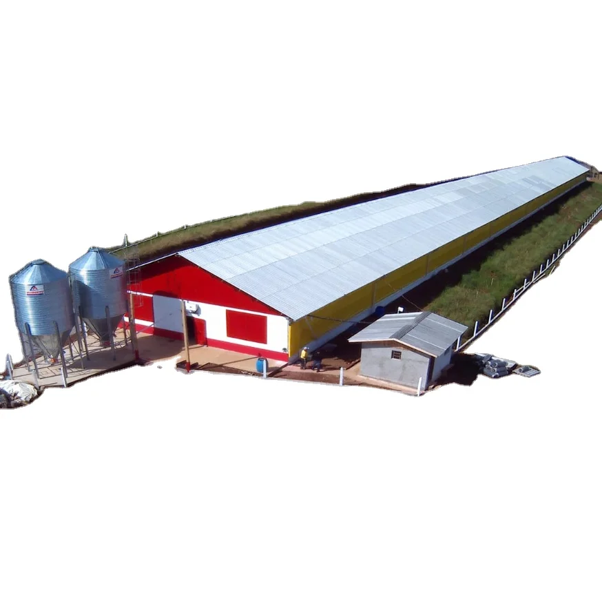 Steel structure brolier house Chicken house