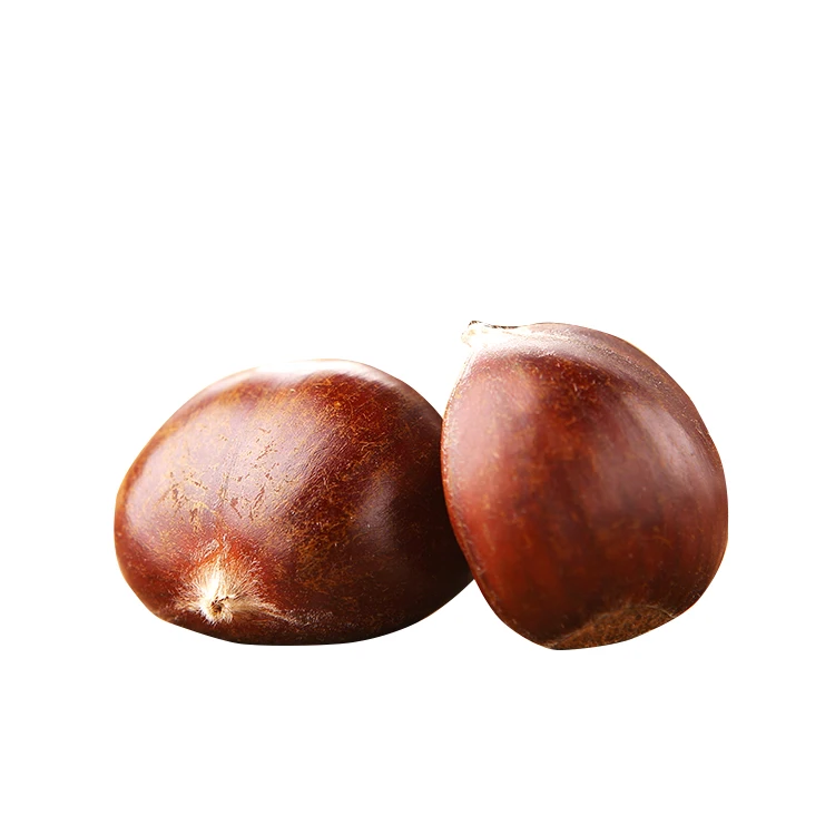 Bulk Fresh Chestnut chinese food wholesale frozen raw food
