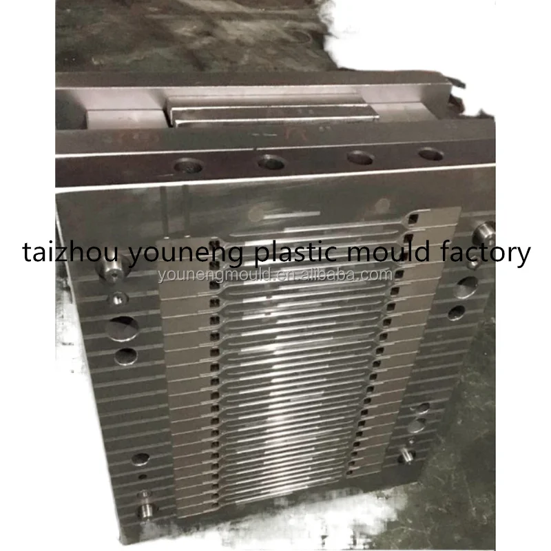 MOULD (24).jpg