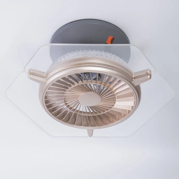 ceiling  fan  with  light