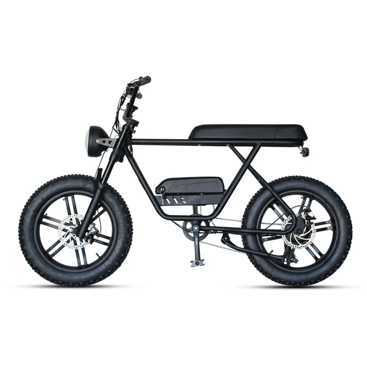 20 Inch 750w 1000w Model Retro Mountain Bicycle Ebike Fat Tire Electric Bike