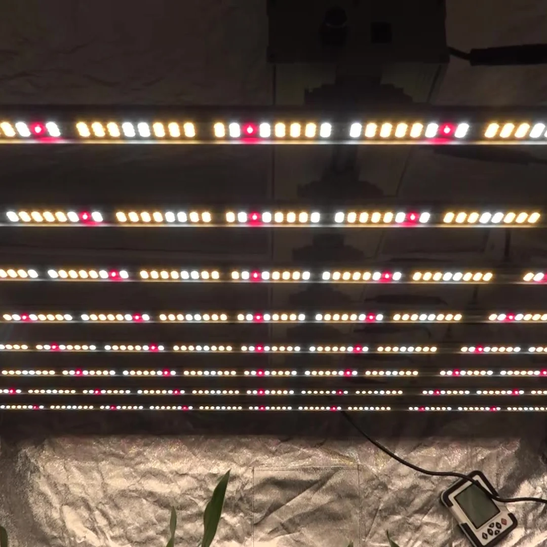 Quality LED plant grow light with 80W cob led dimming full spectrum plant growth plug hydroponic