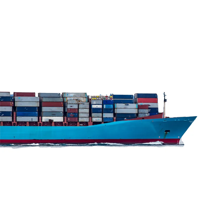 NEW SPEED Best DDP Delivery Logistics Service DDP FCL FBA AMazon Sea Shipping Agent DDP From China To Worldwide